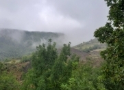 Satılır 28 sot torpaq İsmayıllı