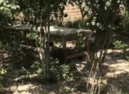 Satılır 4 sot torpaq Sumqayıt