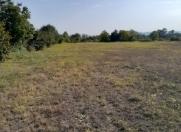 Satılır 167 sot torpaq Qəbələ