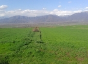 Satılır 400 sot torpaq İsmayıllı