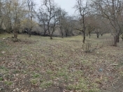 Satılır 24 sot torpaq Quba