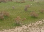 Satılır 7 sot torpaq Sumqayıt