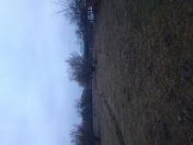 Satılır 36 sot torpaq Qəbələ