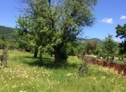 Satılır 8 sot torpaq İsmayıllı