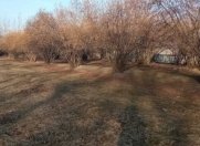 Satılır 100 sot torpaq Oğuz