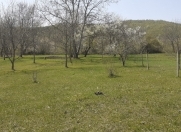 Satılır 18 sot torpaq İsmayıllı