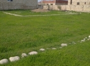 Satılır 5 sot torpaq Şabran