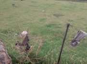 Satılır 0.12 sot torpaq Gədəbəy