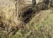 Satılır 10 sot torpaq Qusar