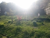 Satılır 40 sot torpaq Şamaxı