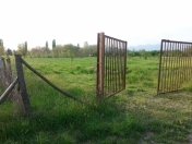 Satılır 1500 sot torpaq Zaqatala