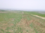 Satılır 334 sot torpaq Şabran