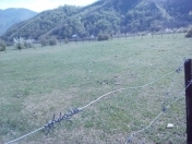 Satılır 12 sot torpaq Oğuz