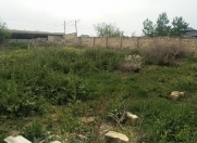 Satılır 10 sot torpaq Şirvan