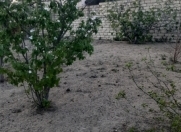 Satılır 4 sot torpaq Sumqayıt