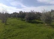 Satılır 2 otaqlı 500 m2 obyekt Məhəmmədli