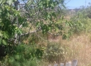 Satılır 18 sot torpaq Buzovna