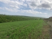 Satılır 60 sot torpaq Quba