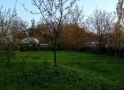 Satılır 9 sot torpaq İsmayıllı