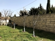 Satılır 3 otaqlı 110 m2 həyət evi Mehdiabad