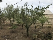 Satılır 4 otaqlı 120 m2 həyət evi Koroğlu Parkı