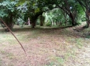 Satılır 46 sot torpaq Qəbələ