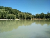 Satılır 12 sot torpaq Quba