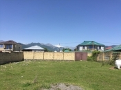 Satılır 6 sot torpaq Qəbələ