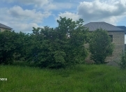 Satılır 8 sot torpaq Qəbələ