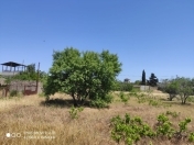 Satılır 2 otaqlı 24 m2 bağ evi Albalı