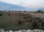 Satılır 28 sot torpaq Buzovna