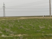 Satılır 36 sot torpaq Şirvan