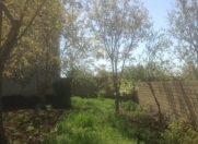 Satılır 10 sot torpaq Şamaxı