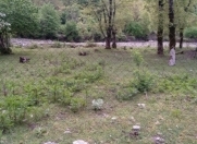 Satılır 5 sot torpaq İsmayıllı