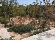 Satılır 3 otaqlı 100 m2 həyət evi Mehdiabad