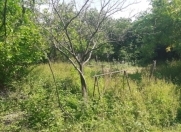 Satılır 12 sot torpaq Cəlilabad