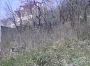 Satılır 26 sot torpaq Şamaxı
