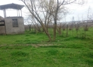 Satılır 1 otaqlı 2000 m2 obyekt Göyçay