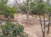 Satılır 25 sot torpaq Sumqayıt