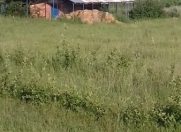 Satılır 2500 sot torpaq İsmayıllı