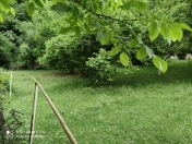 Satılır 5 sot torpaq Qəbələ