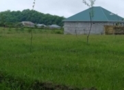 Satılır 21 sot torpaq Qəbələ