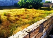 Satılır 4 sot torpaq Buzovna