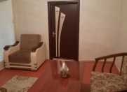 Satılır 2 otaqlı 30 m2 həyət evi Qış parkı