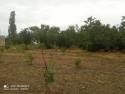 Satılır 12 sot torpaq Xaçmaz