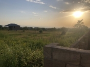 Satılır 14 sot torpaq Qax