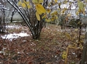 Satılır 4 sot torpaq Qəbələ