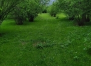 Satılır 350 sot torpaq Qax