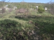 Satılır 4 sot torpaq Qusar