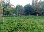 Satılır 10 sot torpaq Quba